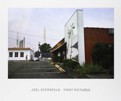 STERNFELD, Joel - First Pictures 