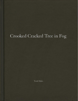 HIDO, Todd - Crooked Cracked Tree in Fog. One Picture Book no. 60 